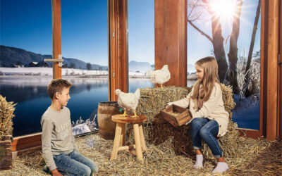 Nah an der Natur – Unser Wintergarten-Geflügel
