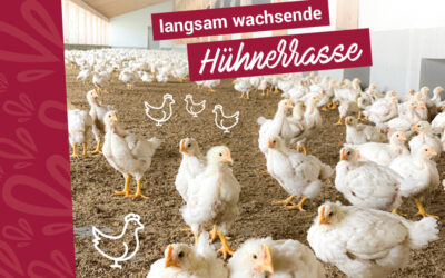 Mehr Luft, mehr Sonne und ein längeres Leben für unsere Tiere!